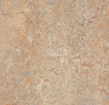 Линолеум Forbo Marmoleum Marbled Vivace 3407-340735 donkey island фото 1 | FLOORDEALER